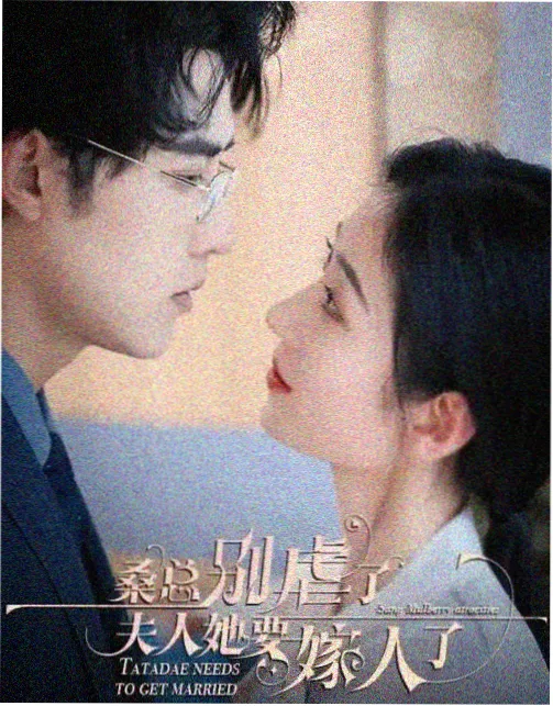 韩剧《无声的证词》韩国电视剧全集在线观看